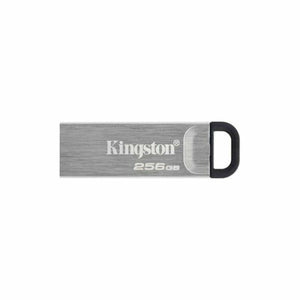 Pendrive Kingston DTKN/256GB USB 3.2 Plateado Negro 256 GB - HAMISHOP07