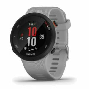 Smartwatch GARMIN Forerunner 45 Plus Gris 1,04"