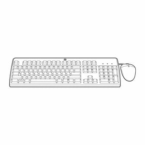 Teclado y Ratón HPE 631348-B21 Negro Español Qwerty Español QWERTY - HAMISHOP07