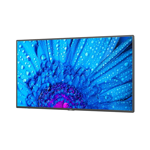 Monitor Videowall NEC 60005047 43