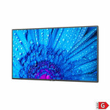 Monitor Videowall NEC 60005047 43" LED IPS Edge-LED 60 Hz 50-60  Hz