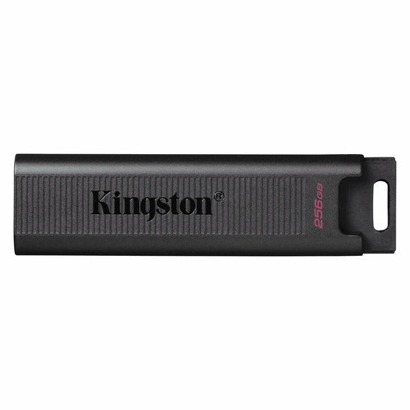 Memoria USB Kingston DTMAX 256 GB - HAMISHOP07