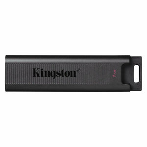 Memoria USB Kingston DTMAX/1TB - HAMISHOP07